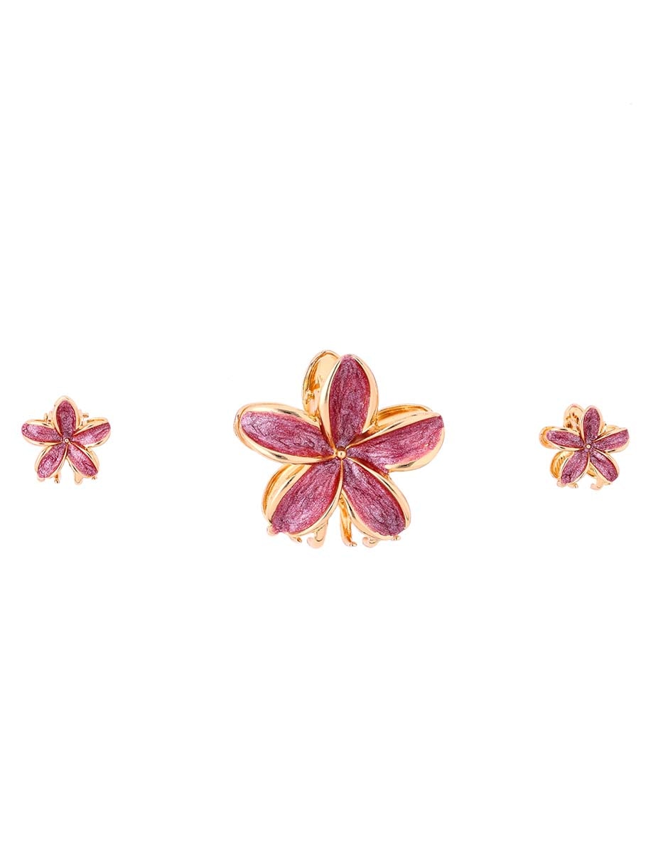 Set pinzas para el cabello de plástico 1