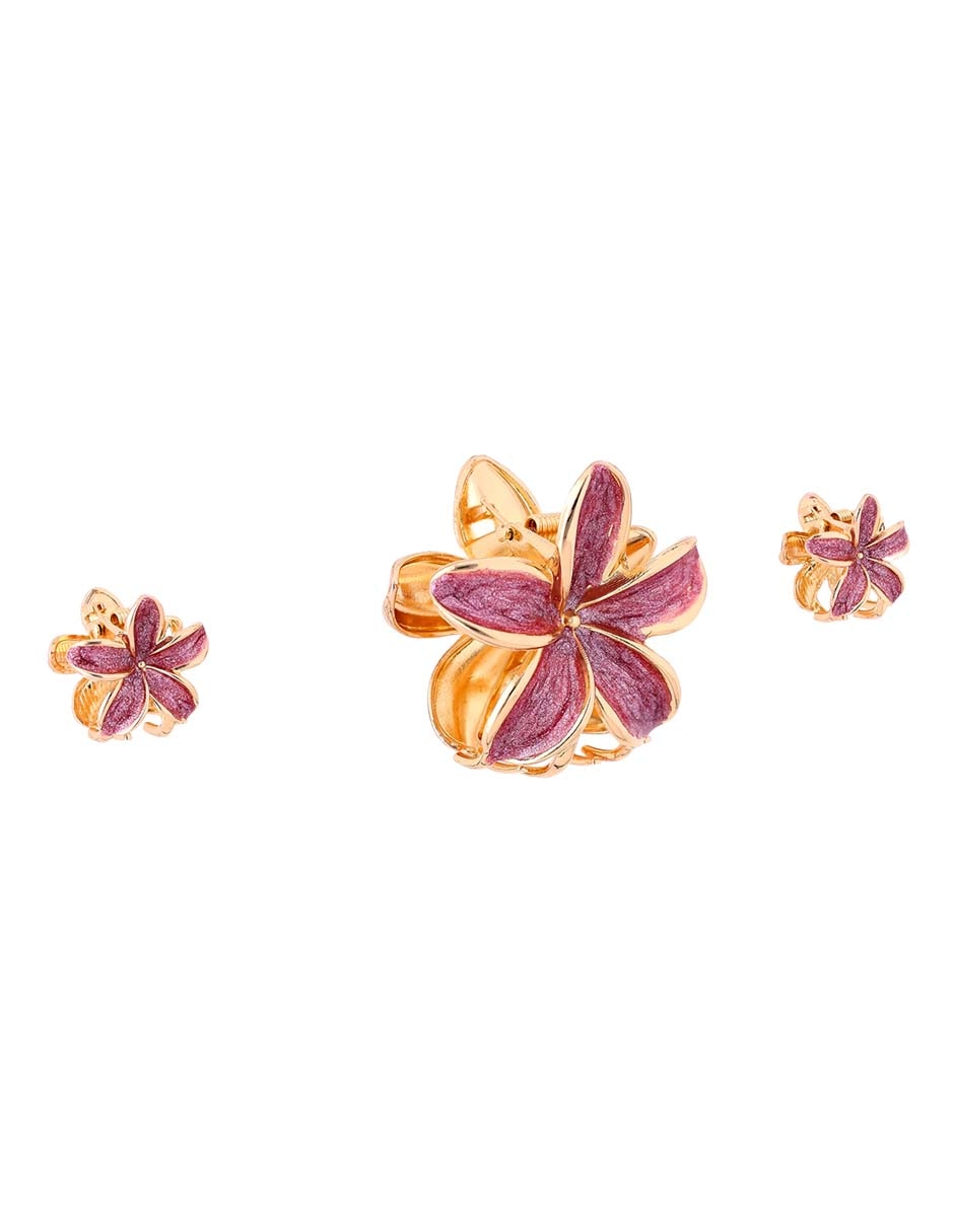 Set pinzas para el cabello de plástico 6