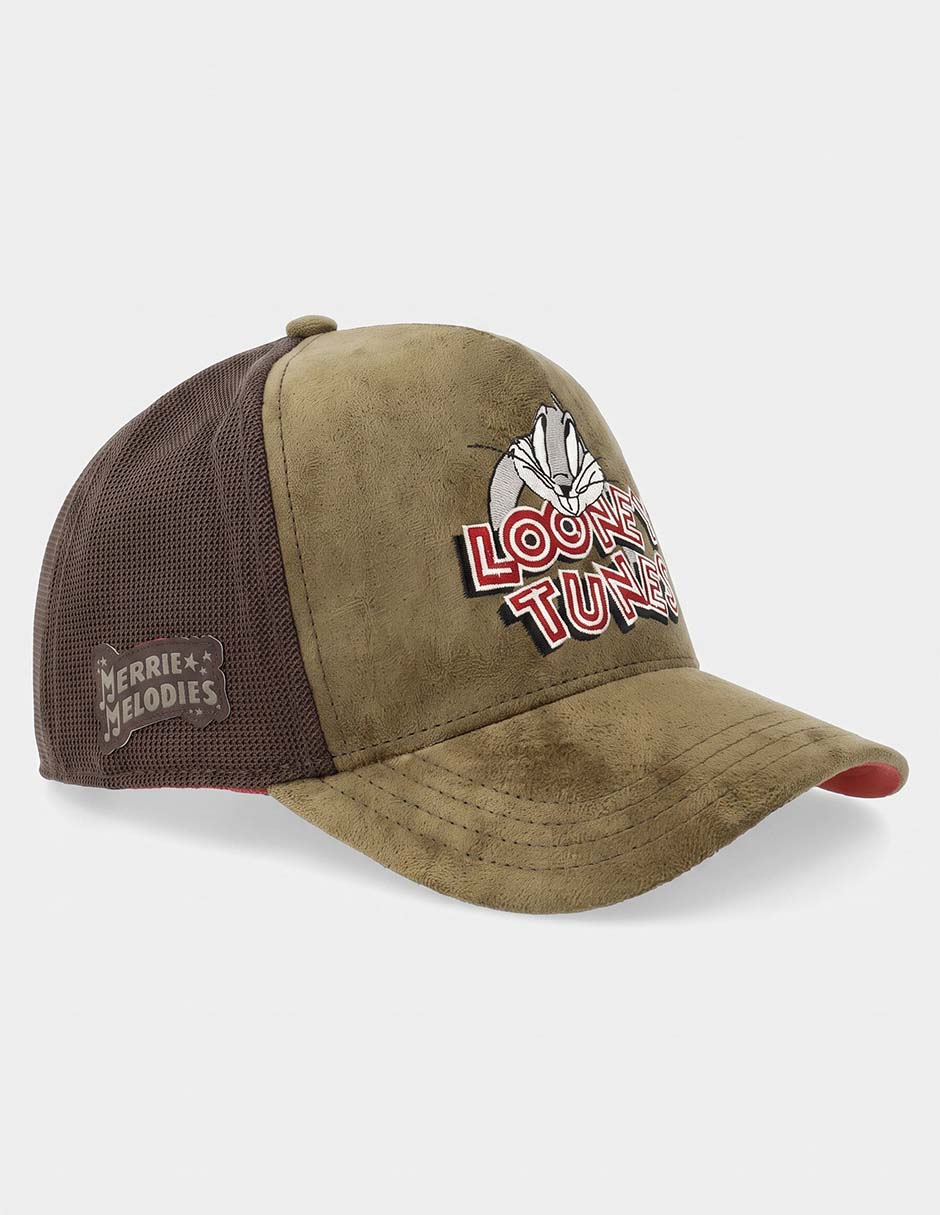 Gorra visera curva correa ajustable casual Looney Tunes Merrie Melodies para hombre Gorra visera curva correa ajustable casual Looney Tunes Merrie Melodies para hombre