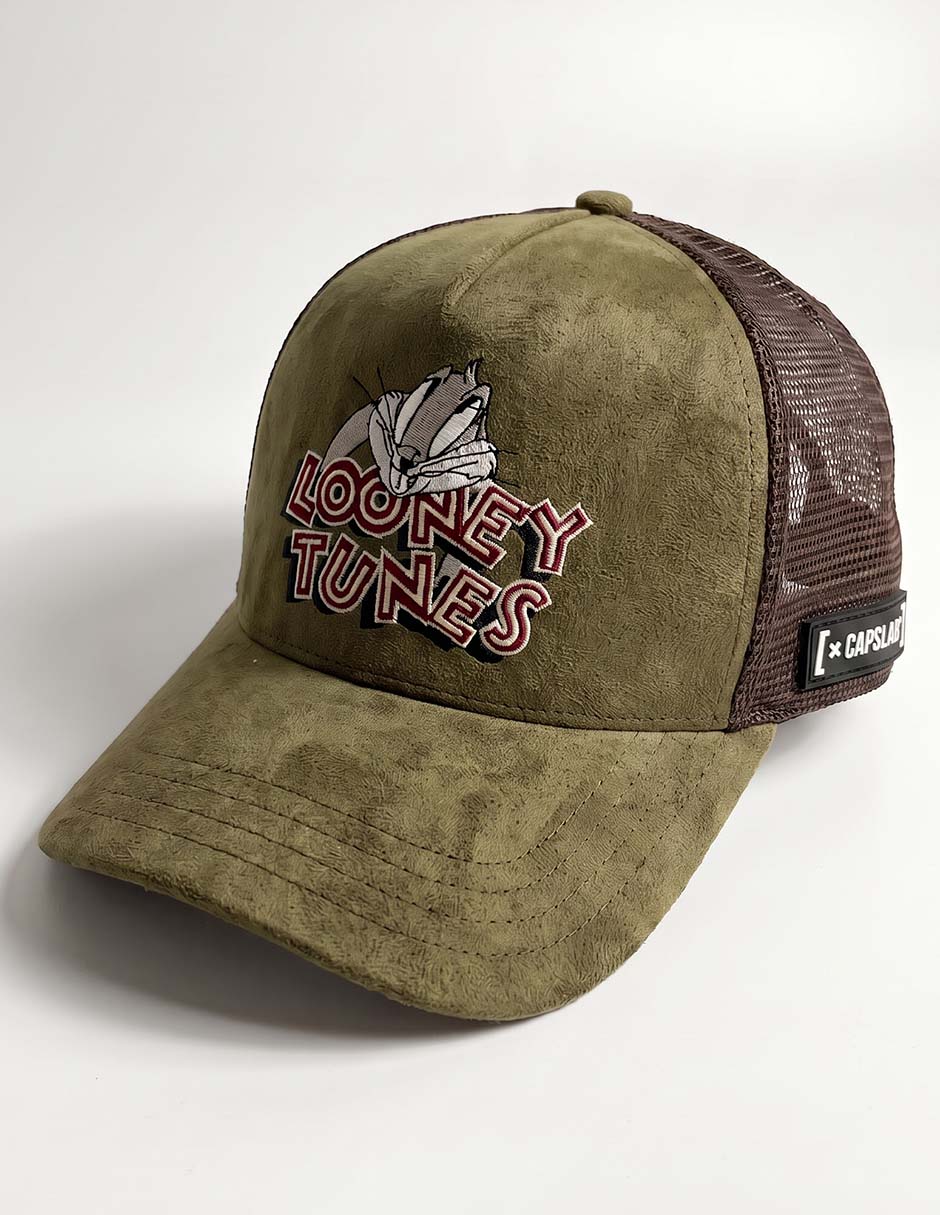 Gorra visera curva correa ajustable casual Looney Tunes Merrie Melodies para hombre 3