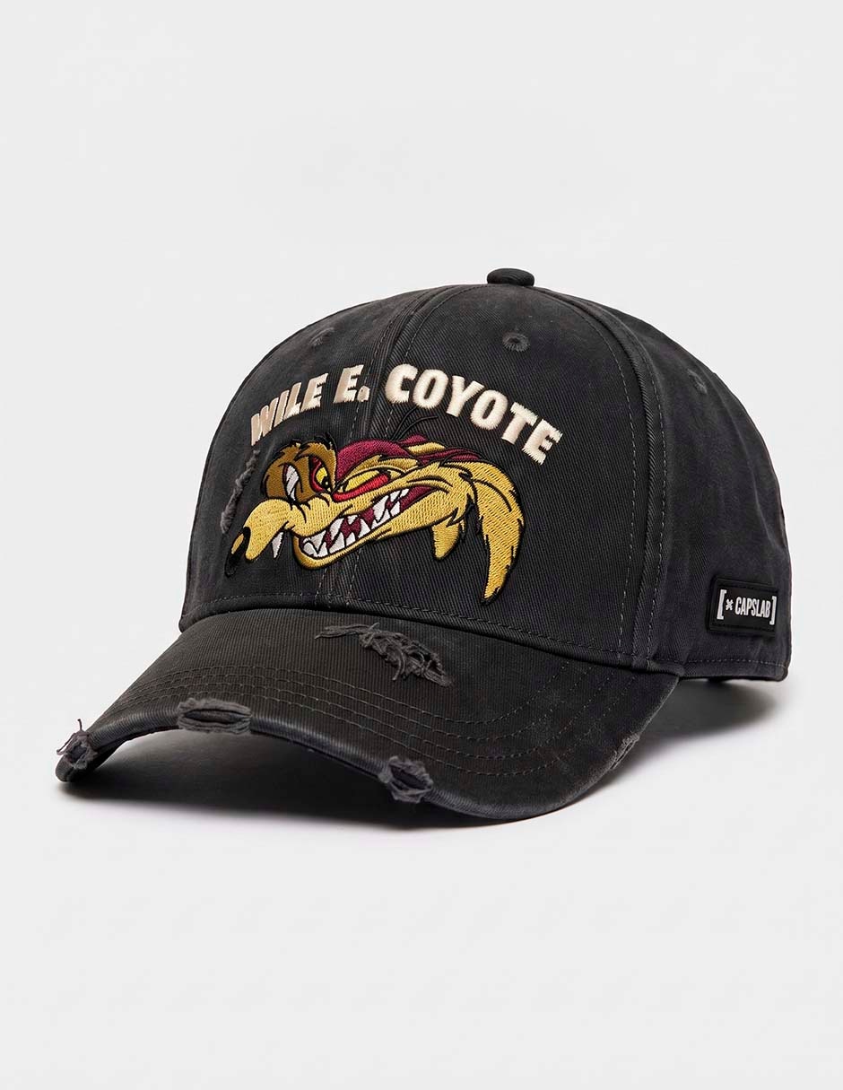 Gorra visera curva correa ajustable casual Looney Tunes Wilie E. y Road Runner para hombre