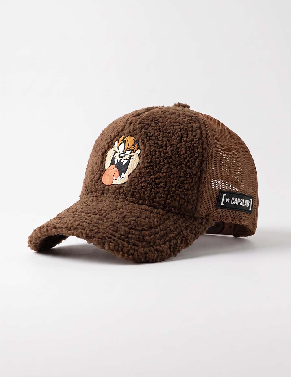 Gorra visera curva snapback casual Looney Tunes Tazmania para hombre