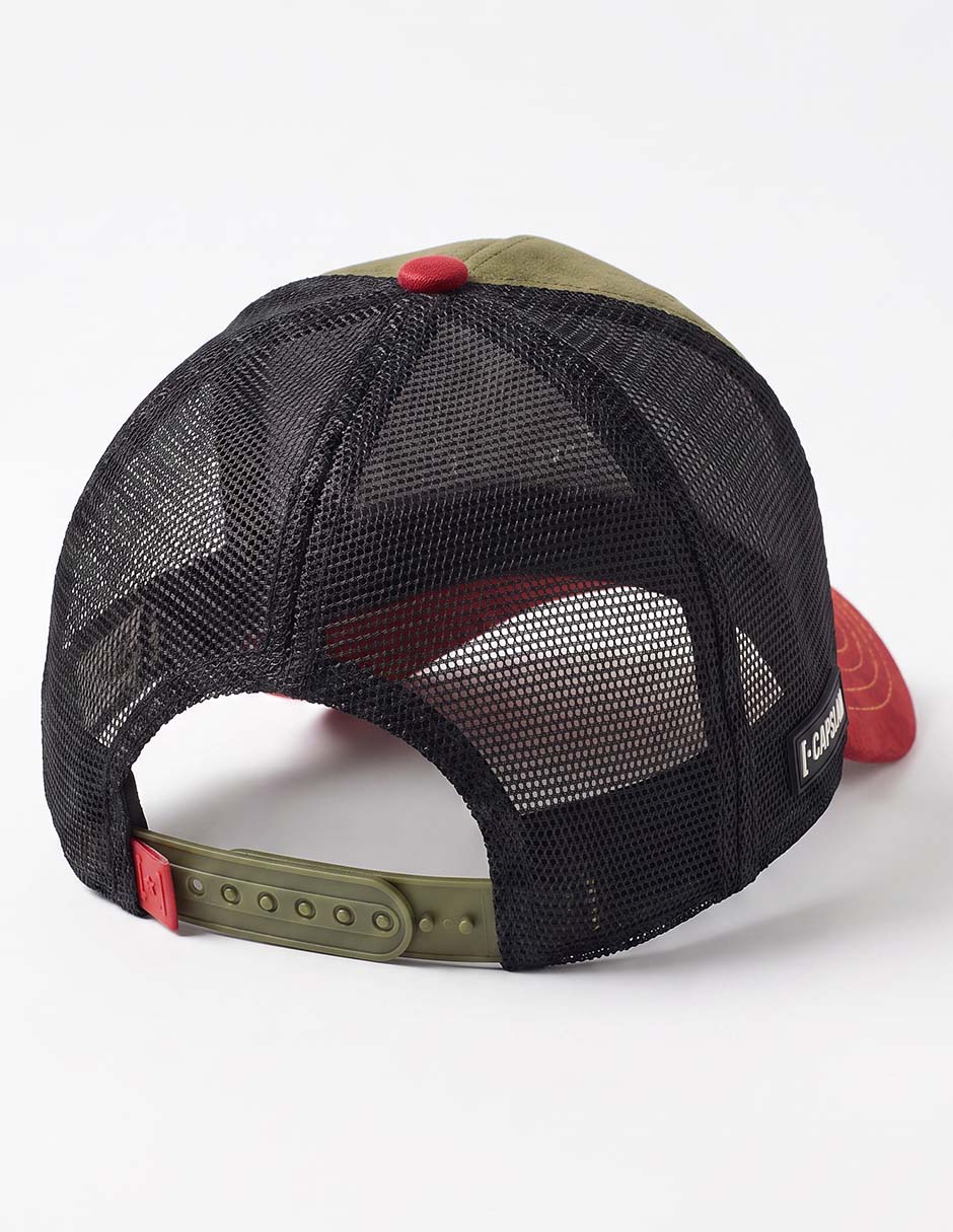 Gorra visera curva snapback casual Tom y Jerry para hombre 2